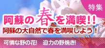 阿蘇の秋を満喫！