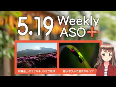 2023年5月19日 週刊アソプラス 「阿蘇山上のミヤマキリシマが見頃」「碧水ホタルの里ホタルツアー」