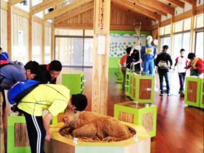 平成27年4月阿蘇草原保全活動センターオープン! 平成27年4月阿蘇草原保全活動センターオープン!