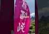 【アソプラス＋】山肌をピンクに染める「仙酔峡」のミヤマキリシマ