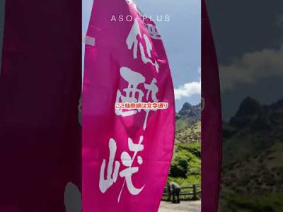 【アソプラス＋】山肌をピンクに染める「仙酔峡」のミヤマキリシマ