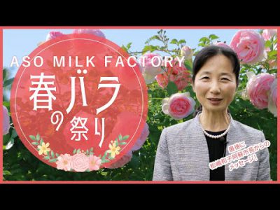 ASO MILK FACTORY「春のバラ祭り」（阿蘇市長からのメッセージあり！）