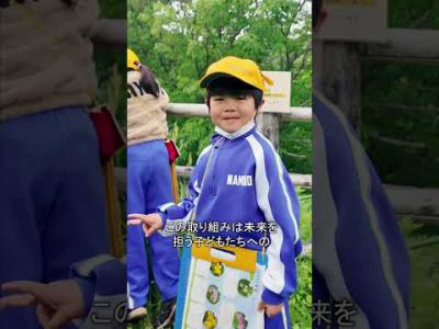 【2025年】波野小学校スズラン草原学習