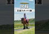 【阿蘇】王道観光スポット3選