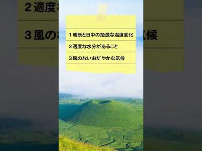 10月11月雲海チャレンジやります! 10月11月雲海チャレンジやります!