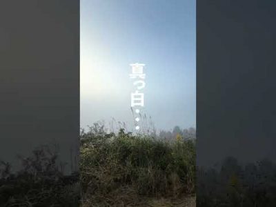 2025年10月14日(火)雲海チャレンジ結果発表! 2025年10月14日(火)雲海チャレンジ結果発表!