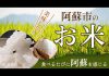 食べるたび阿蘇を感じる「美味しか！阿蘇市のお米」