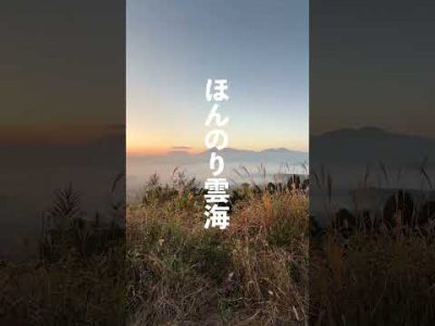 2025年11月8日（土）雲海チャレンジ結果発表！