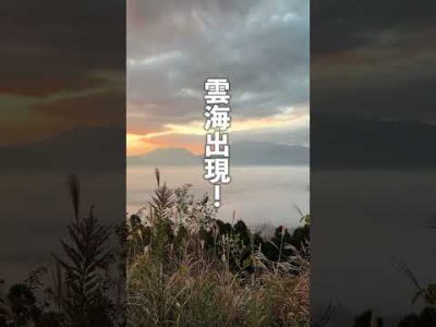 2025年11月27日（木）雲海チャレンジ結果発表！