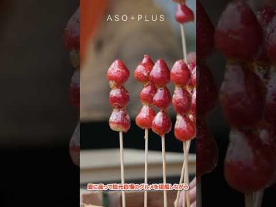 【アソプラス+】3月29日(日曜日)畳の上で絶品グルメ!春の「お座敷商店街」 【アソプラス+】3月29日(日曜日)畳の上で絶品グルメ!春の「お座敷商店街」