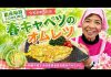 【地産地消クッキング】春キャベツのオムレツ｜広報あそ 令和8年5月号