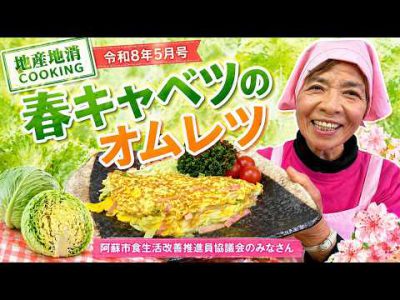 【地産地消クッキング】春キャベツのオムレツ｜広報あそ 令和8年5月号