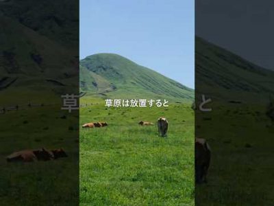 日本最大級の草原、実は…