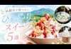 【阿蘇グルメ】この夏食べたい！阿蘇市のひんやりスイーツ5選｜かき氷・ソフト・懐かしアイス