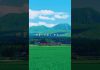 晩夏の阿蘇を、車窓から。