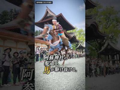 9月25日開催！阿蘇神社「田実祭」｜流鏑馬や願の相撲を奉納