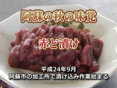 阿蘇の秋の味覚赤ど漬け