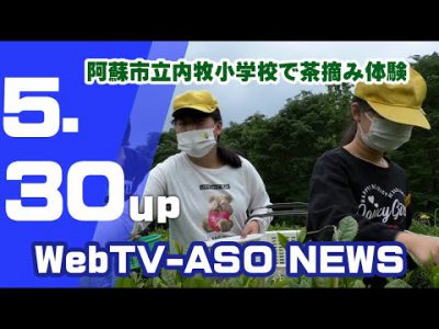 阿蘇市立内牧小学校で茶摘み体験